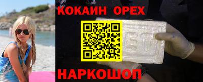 гашик Сланцы