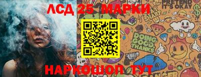 гашик Сланцы