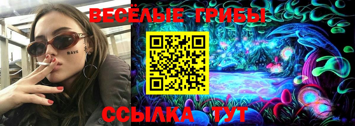 Галлюциногенные грибы Cubensis  Вход с VPN  Новороссийск 