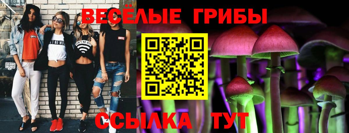 Псилоцибиновые грибы мухоморы Новороссийск